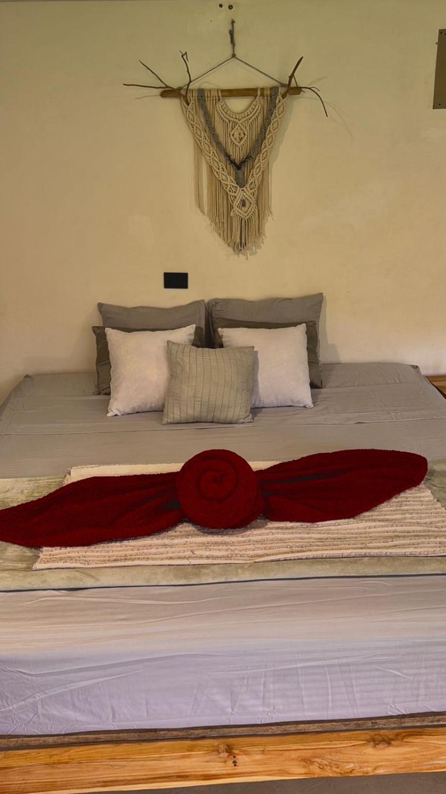 Deer House Cabuya Apartman Cabuya  Kültér fotó